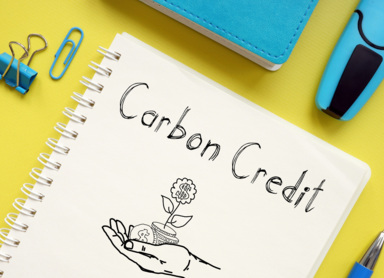 Carbon Credits – jakie mają znaczenie dla walki ze zmianami klimatu?