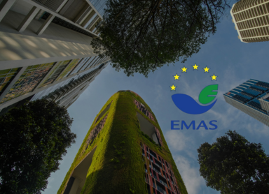 EMAS – kompletny przewodnik po certyfikacji środowiskowej