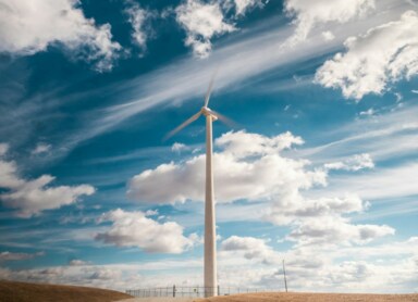 Zarządzanie środowiskowe w firmie – na czym polega?