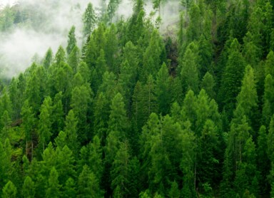 Audyt środowiskowy – co to jest i jak go wykonać?