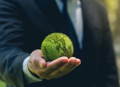 Grupy biznesowe Reo.pl – nowy model już działa!