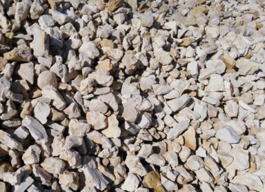 CRUSIL Sp. z o.o. i Reo.pl – zielona współpraca ma przyszłość!