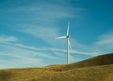 Neutralność klimatyczna – co to jest i dlaczego jest ważna?