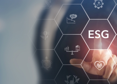 Eksperci Reo.pl w rozmowie z Redakcją Infor