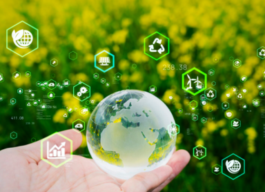 Zielona energia jest opłacalna! Wywiad z Grzegorzem Tomasikiem na Raport CSR.pl